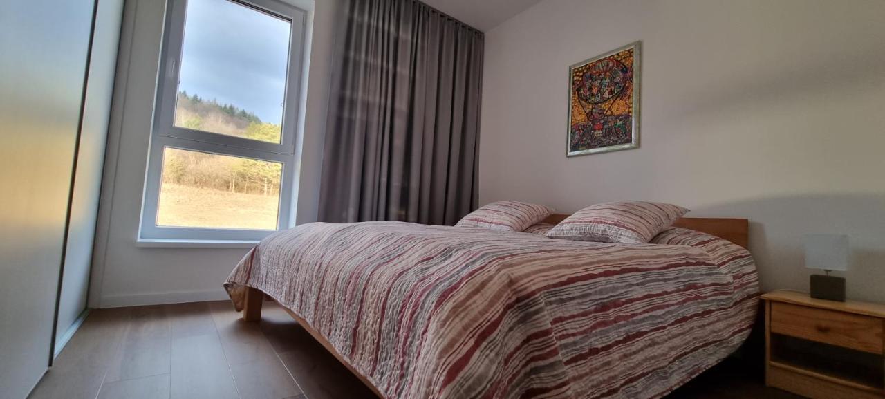 Penthouse apartmán Minerál B-4 Bardejovské Kúpele Esterno foto